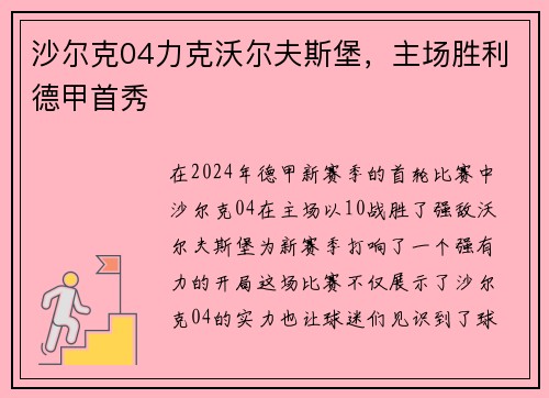 沙尔克04力克沃尔夫斯堡，主场胜利德甲首秀